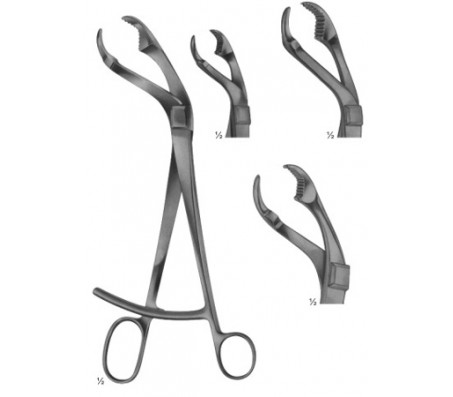 Bone Holding Forceps